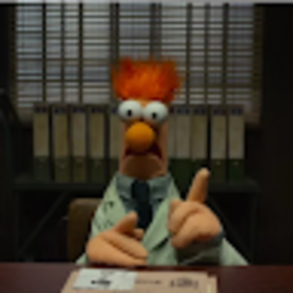 Meet your Posher, Peytience - Picture 1 of 1